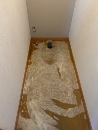 便器が全て陶器製でスッキリした見た目のネオレストAS　世田谷区T様邸